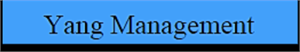 YANG&E, LLC